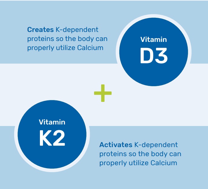 Vitamins D and K Work as a Team