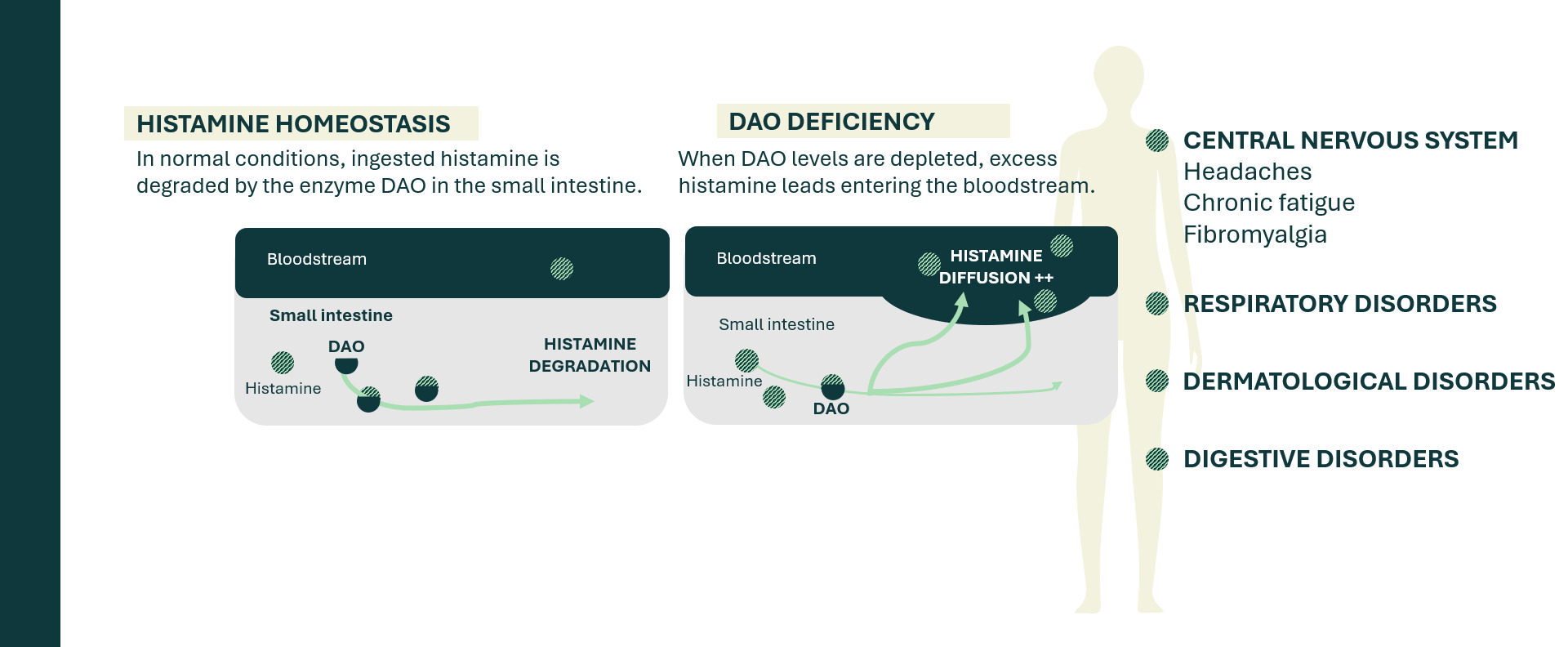  DAO Deficiency