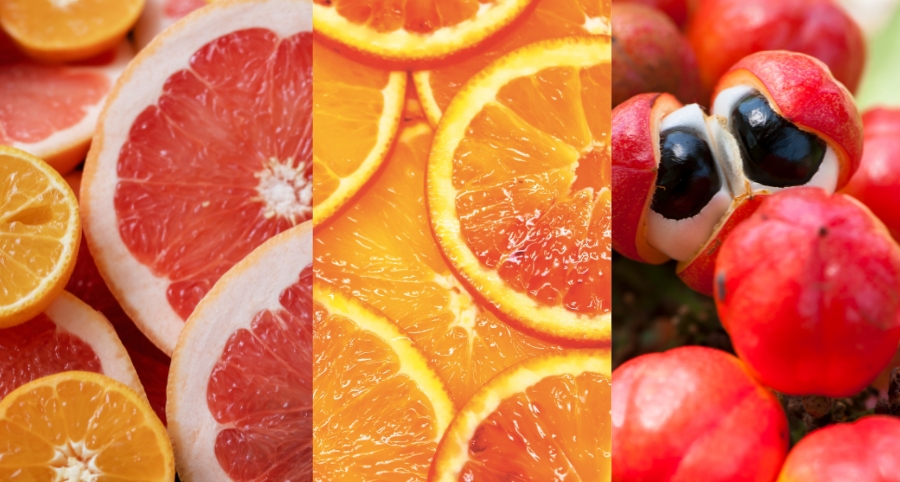 The Active Compounds in Sinetrol®